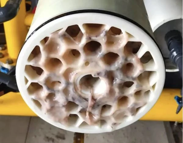 RO membrane pollution